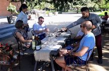 Private Wine Tasting tour in Casablanca Valley Vineyards