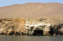 Ballestas Islands and Paracas National Reserve Day Trip from Paracas