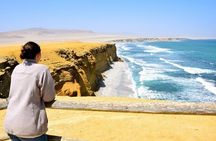 Ballestas Islands and Paracas National Reserve Day Trip from Paracas