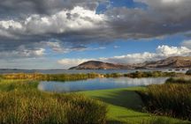 Lake Titicaca Day Tour from Puno