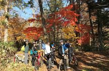 Nopporo Forest Mountain Bike Tour from Sapporo, presenting a retro Cycle cap