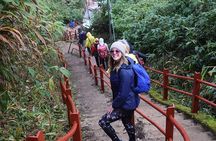 Overnight Hiking and Trekking Tour to Adams peak via Peak Wilderness sanctuary