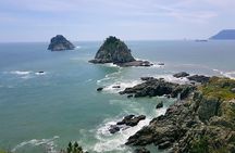 Full Day Busan Tour Including Haedong Yonggungsa Temple