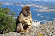 Private Day To Gibraltar from Marbella or Marbella