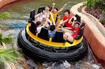 Ocean Park Full-Day Coach Tour with Hotel Pickup in Kowloon Area from Hong Kong