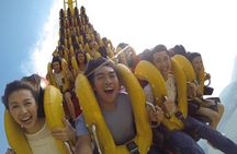 Ocean Park Full-Day Coach Tour with Hotel Pickup in Kowloon Area from Hong Kong