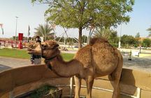 Dubai Red Dunes Desert Safari,ATV Quad Bike Camel Ride&BBQ Dinner