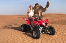 Dubai Red Dunes Desert Safari,ATV Quad Bike Camel Ride&BBQ Dinner