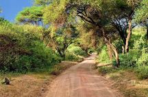 1 Day Manyara National Park