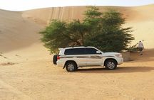 Liwa Full Day Desert Safari from Abu Dhabi