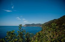 Cinque Terre Day Trip from Florence with Optional Hiking or Pisa