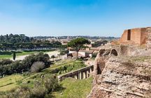Private Tour of the Colosseum with Roman Forum & Palatine Hill