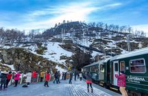 7-Day Scenic Scandinavian Tour from Oslo exploring Denmark, Sweden and fjords in Norway