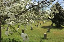 Private Atlanta History Tour From Civil War to Civil Rights