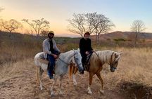 Pura Vida in Papagayo - WRCT Adventures Private Horseback Ride 