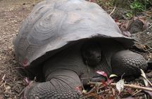  Enjoy the Best of Quito and Galapagos (3 Islands ) 8-Day Trip