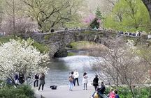 Central Park Secrets And Highlights