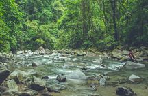 ARENAL FUSION ADVENTURE (2):Safari Float, Waterfall, Lunch & Hike