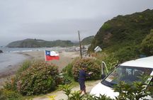Chiloe Island - Puñihuil Tour