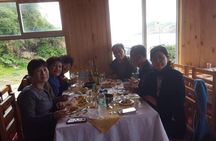 Chiloe Island - Puñihuil Tour
