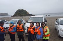 Chiloe Island - Puñihuil Tour