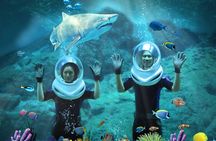 SEA LIFE & Madame Tussauds: Ultimate Bangkok Combo Ticket