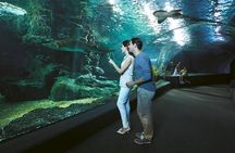 SEA LIFE & Madame Tussauds: Ultimate Bangkok Combo Ticket
