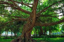 Cuc Phuong National Park Trekking Day Trip