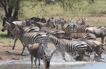  5 Days Tanzania Camping Safari 