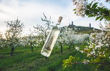 Private PICNIC in Bohemian Vineyards and Wine Tasting 4WD Tour