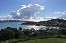 Devonport Volcanoes Afternoon Tour from Auckland