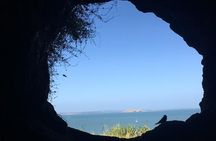 Devonport Volcanoes Afternoon Tour from Auckland