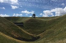 Shore Excursion: Half-Day Auckland Volcanoes Tour