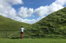 Shore Excursion: Half-Day Auckland Volcanoes Tour