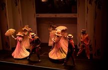Super Saver: Buenos Aires city Tour combined with Dinner and Tango show 