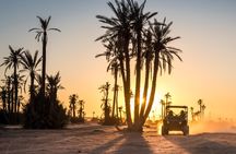 Marrakech Desert Buggy Tour Including Berber Tea Break and transfer