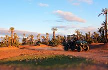 Marrakech Desert Buggy Tour Including Berber Tea Break and transfer