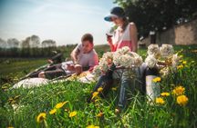 Private PICNIC in Bohemian Vineyards and Wine Tasting 4WD Tour