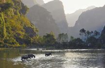 Full Day Trip to Discover Ninh Binh – Hoa Lu – Tam Coc From Ha Noi