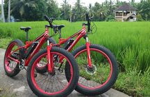 Electric Bike Tour in Ubud