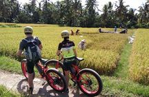 Electric Bike Tour in Ubud