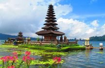 Private Tour: Handara Iconic Gate, rice terrace & Ulundanu Temple