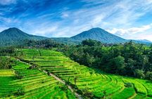Private Tour: Handara Iconic Gate, rice terrace & Ulundanu Temple