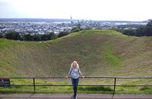 Auckland Tour City Highlights Half Day