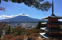 Private Car Tour to Mt. Fuji Lake Kawaguchiko or Hakone