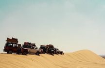 2 Days Desert Safari Trip to Fayoum Oasis from Cairo
