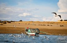 2 Days Desert Safari Trip to Fayoum Oasis from Cairo