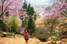 Sapa 3 Days 2 Nights Trekking Tour (1 Night In Ta Van Village, 1 Night In Hotel)