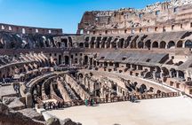 Colosseum with Gladiator Arena Floor, Forum & Palatine Hill Tour