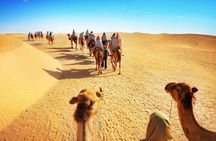 3 days Desert tour from Fez to Marrakech via Merzouga